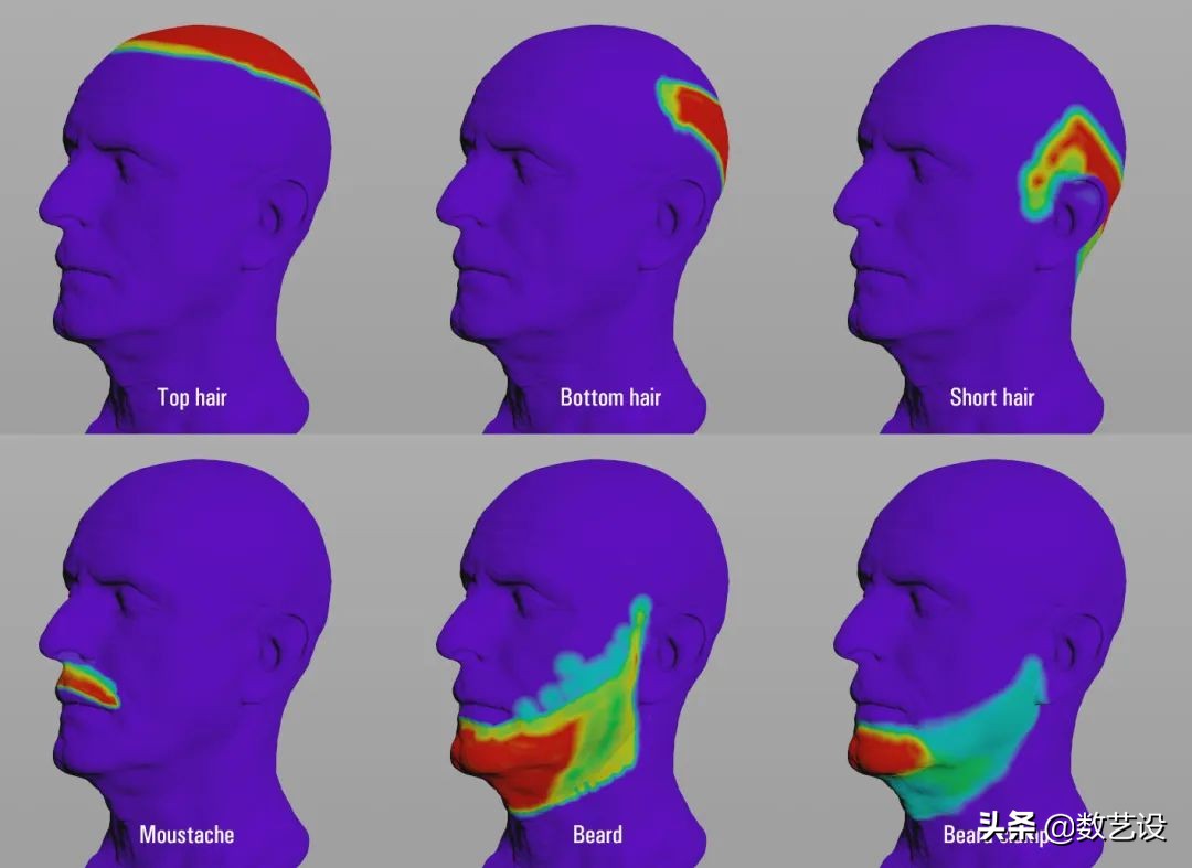 脱发过程3d动画,脱发有救了