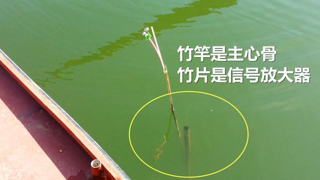 肥水草鱼窝料,综合塘草鱼窝料