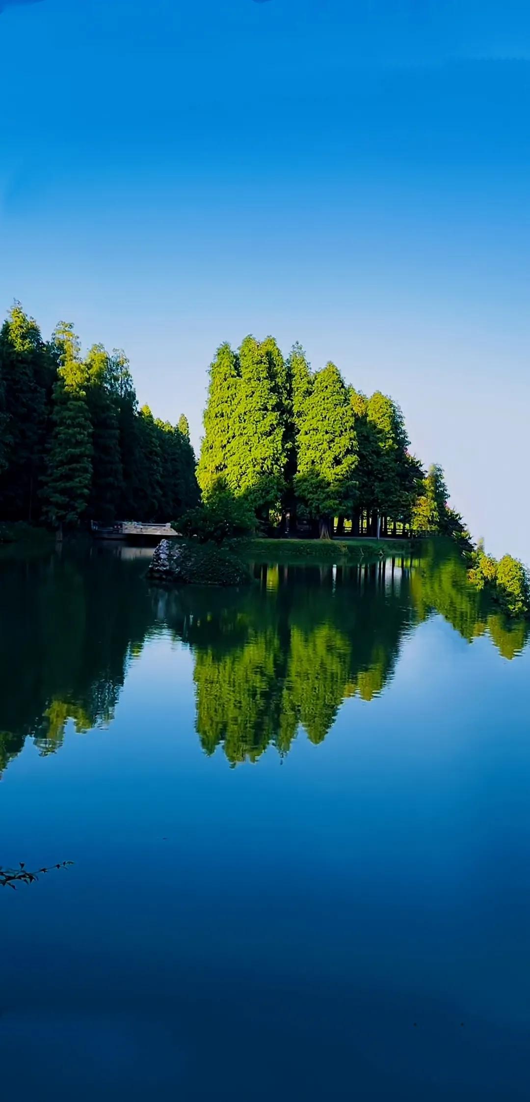 真正的大屏手机有哪些,为什么现在都不做大屏手机