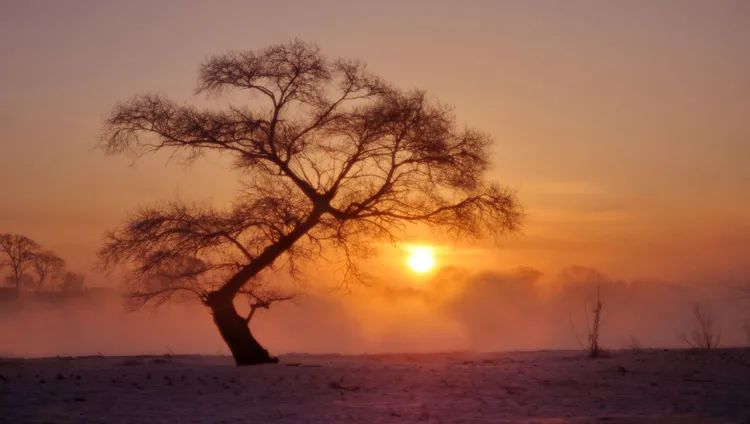 日出要怎么拍,手机拍日出的技巧