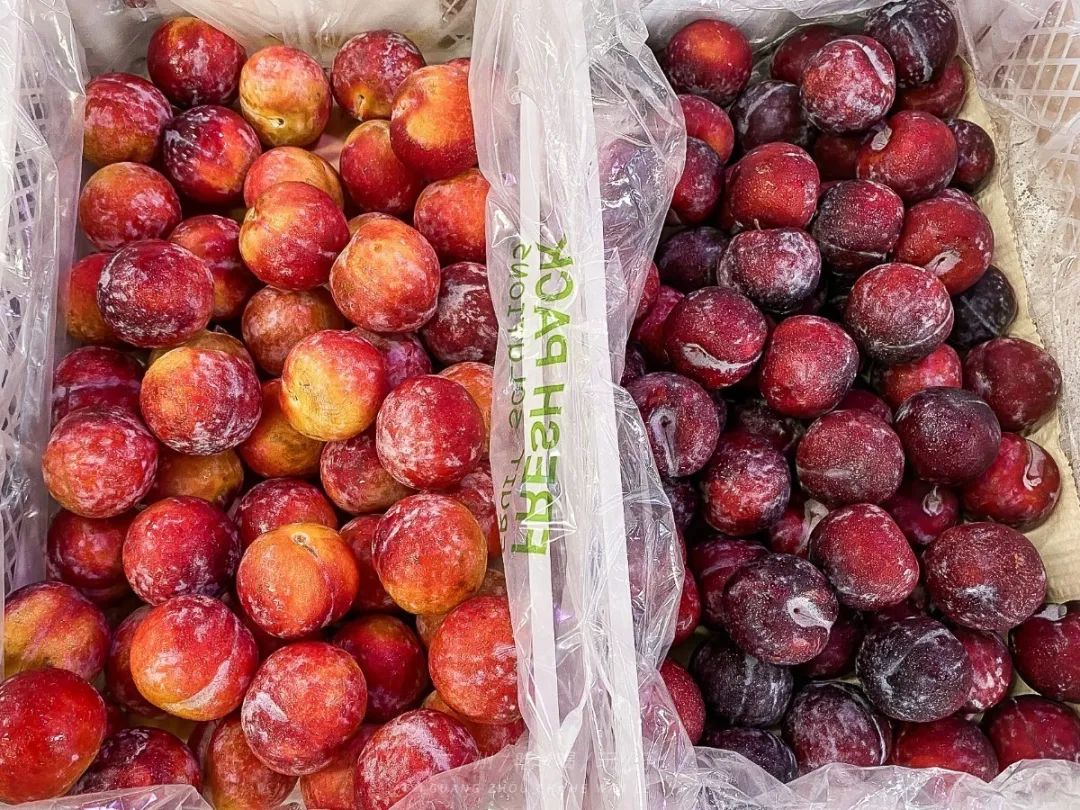 地铁坐到水果市场附近,广州天平架水果市场