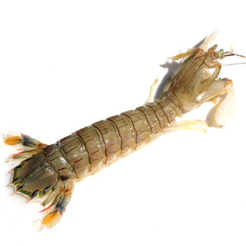 独一无二的油焖虾,虾独一无二