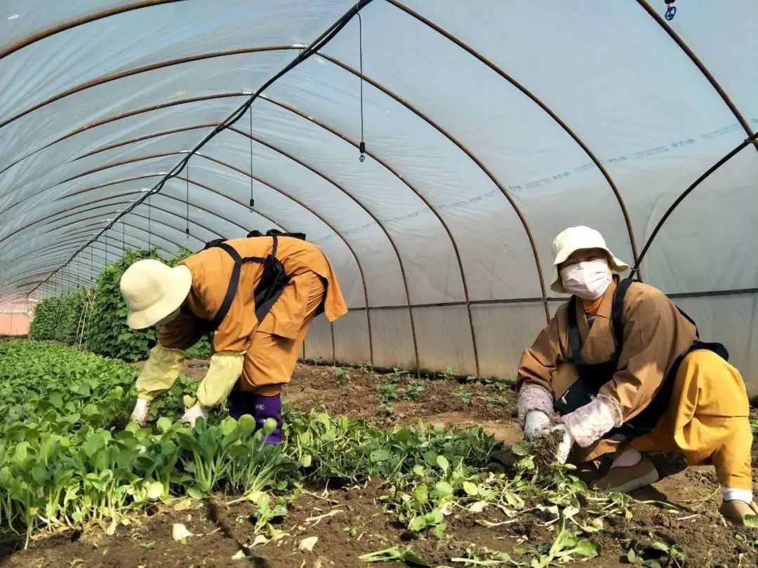 抢抓农时开展农业生产,农民纷纷抢抓春耕生产有利时机