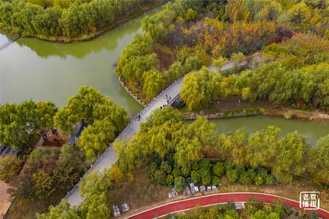 洛阳最新免费公园,洛阳公园免费