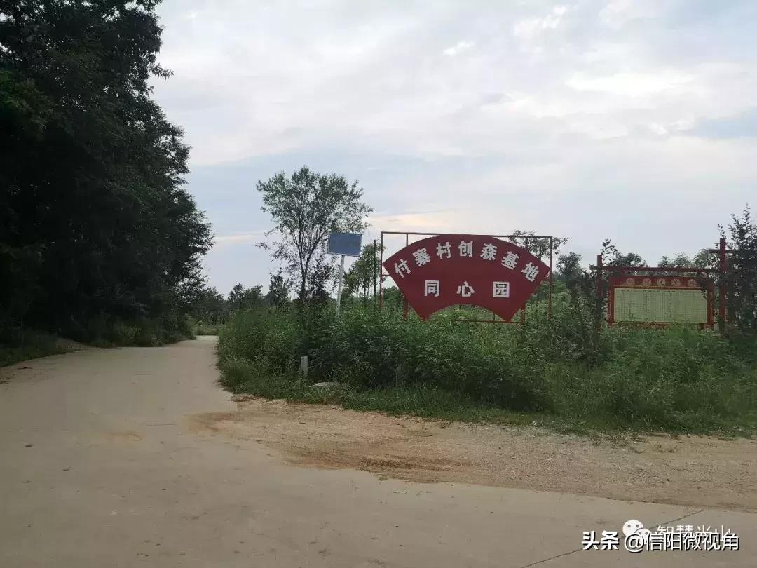 河南一名55岁村支书牺牲,农村村支书因公殉职