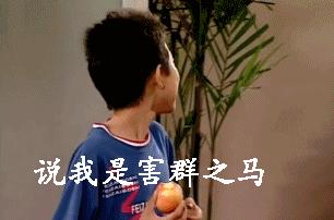 blacksheep是蒙语歌曲吗,blacksheep是不是黑马的意思