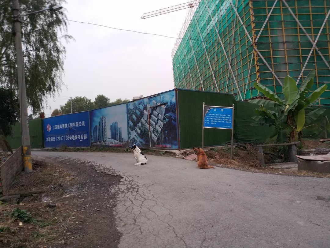 未来科技城二单元三号楼,未来科技城2.0