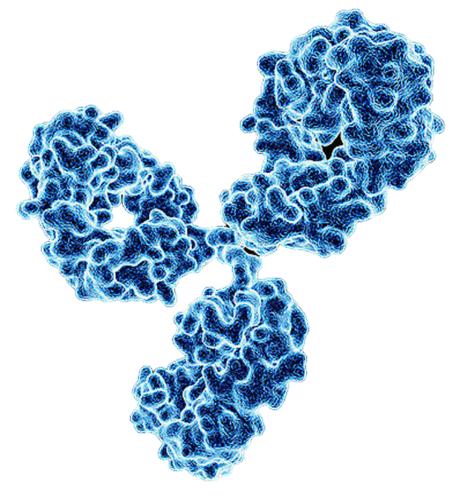 中国生物特异性免疫球蛋白,特异性免疫球蛋白多少钱