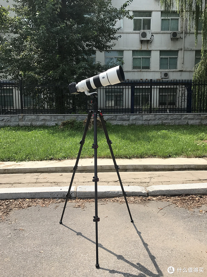 怎样选择合适的相机三脚架,摄影新手怎样挑选三脚架