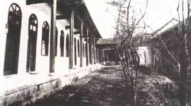 雷军张小龙李一男,雷军张小龙电视剧全集