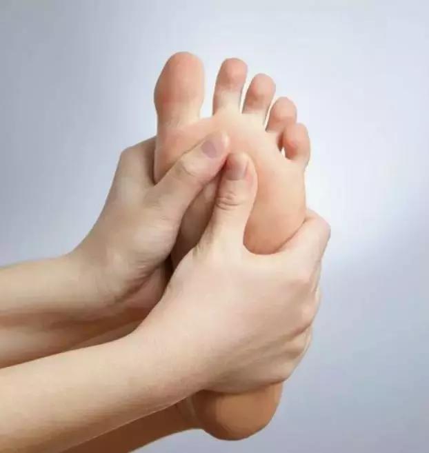 过期的药片丢花盆里花长疯了,家里过期的小药片还可以养植物