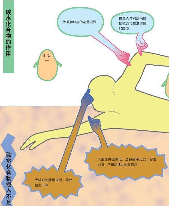 皮质醇高练完长肥肉,掉肌肉长脂肪该怎么办