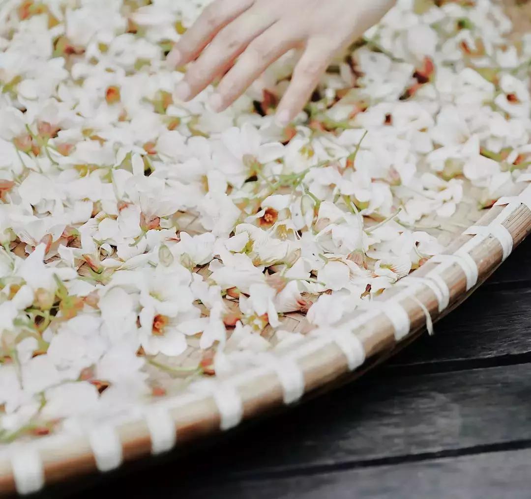 中医刘炳凡,中医刘炳凡治什么病