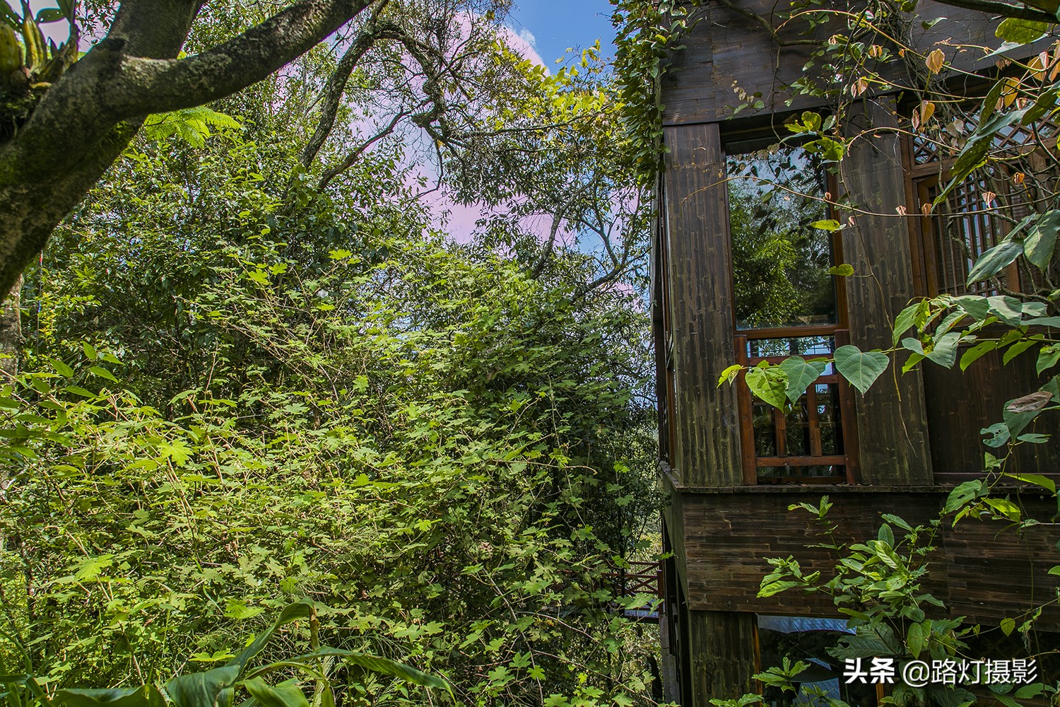 世界春城排行榜云南独占6城,云南世界第一春城