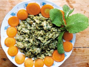 临诊碎玉平喘仙草——癞蛤蟆草的功效