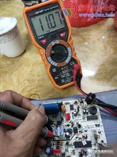 一群人和一只壁虎引发血案,一只壁虎引发的事件