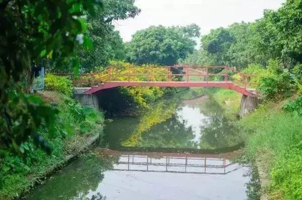 广州踏青好去处地铁附近,广州周边地铁一日游最佳路线