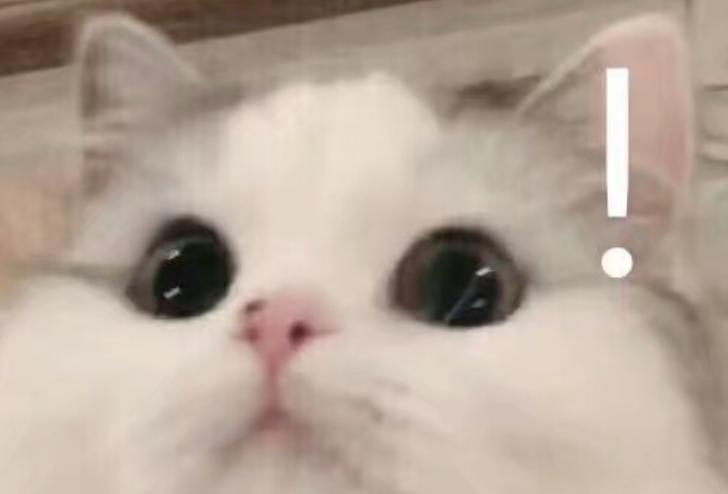 十几亿的顶级豪宅,十几亿的别墅