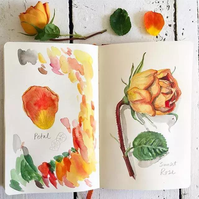 如何用手账本做一篇漂亮的手账,青春专属手帐