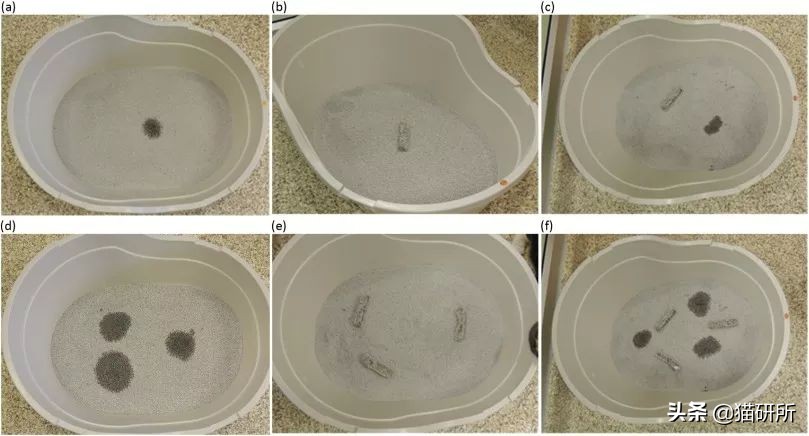 猫咪乱拉如何解决,猫咪乱拉处理方法