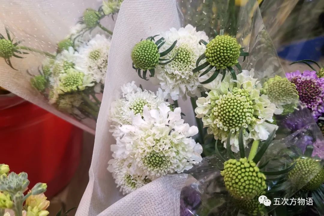 鲜切花都有哪些品牌,花卉市场买的月季不知道品种