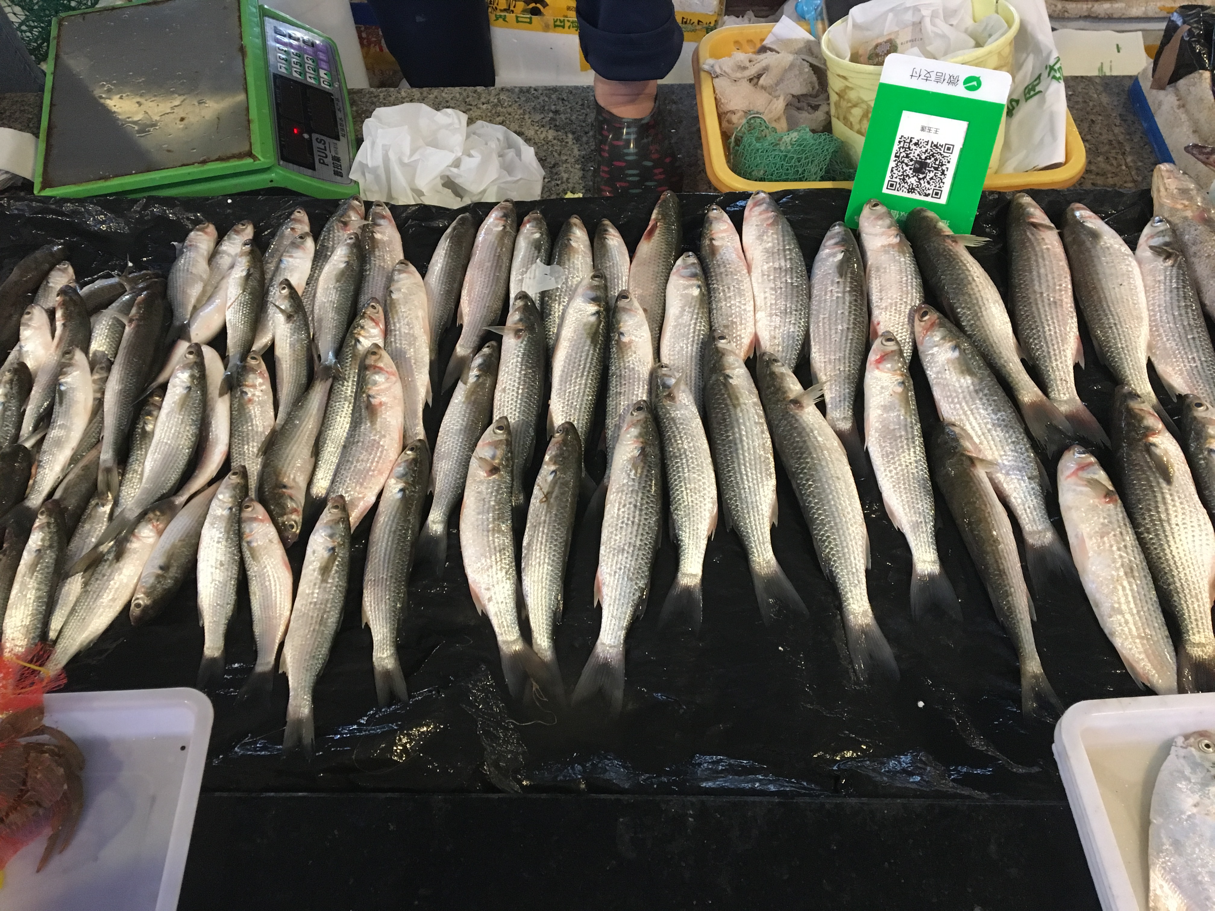 冷冻梭子蟹如何做盐蟹,怎么腌梭子蟹才好吃