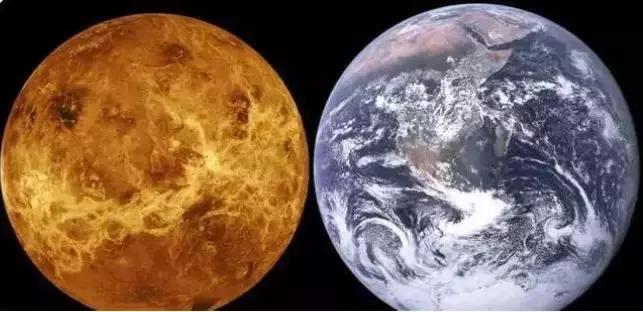 50条让你震惊的冷知识,这十个冷知识确实涨见识