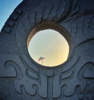 鸽群飞翔视频,鸽群飞翔