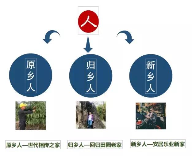 莲花塘乡乡村振兴项目,莲花乡村振兴产业园规划图