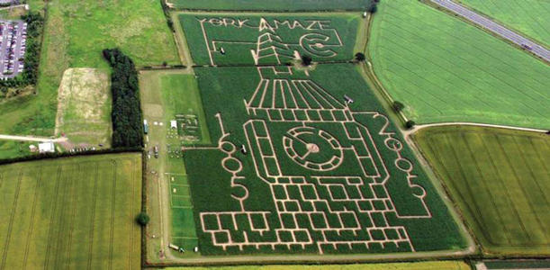 植物迷宫怎么做,梦幻成都植物迷宫