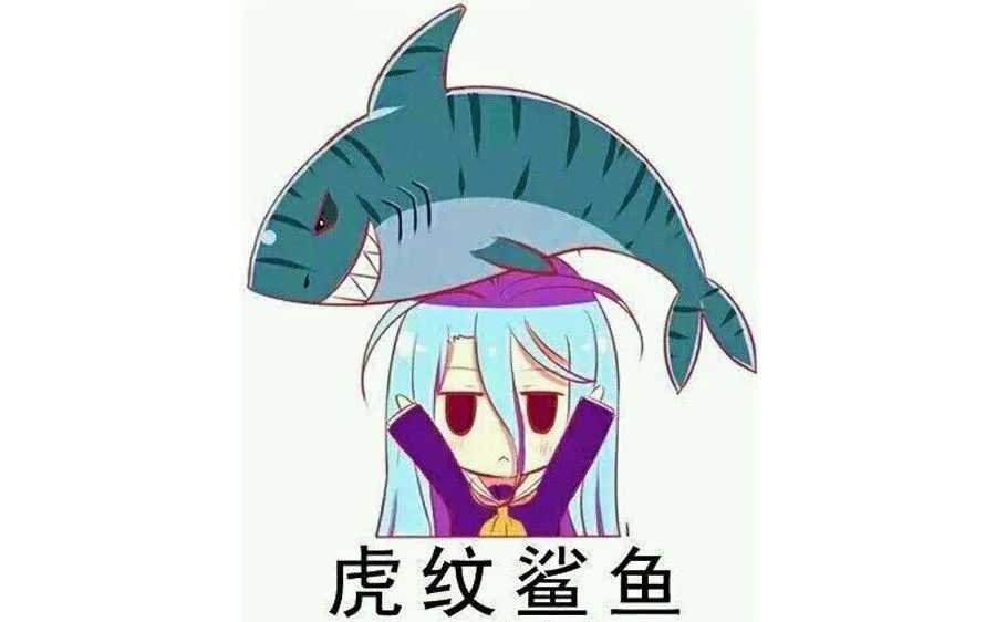 虎纹鸭嘴鲨鱼寓意什么意思,巴虎纹鲨鱼是什么意思