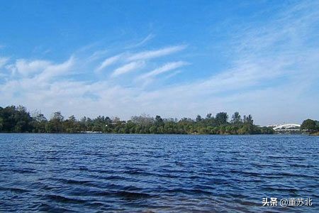 河南新郑全国百强镇,新郑市百强企业