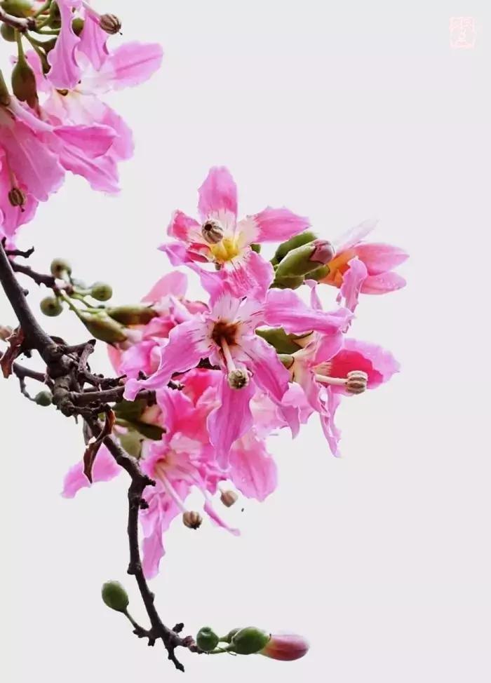 情感语录有些人看清了也就看轻了,情感语录句句穿透人心这就是生活