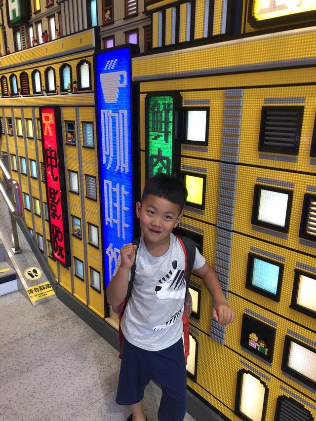 2019新西兰,2019年新西兰