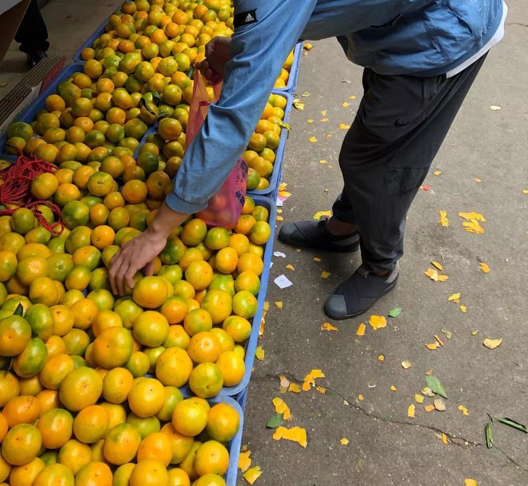 凯美瑞双擎适合长途自驾吗,卡罗拉双擎和凯美瑞双擎哪个省油
