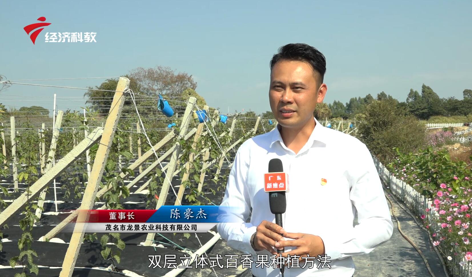 龙景农业,广东新闻联播经济社会发展