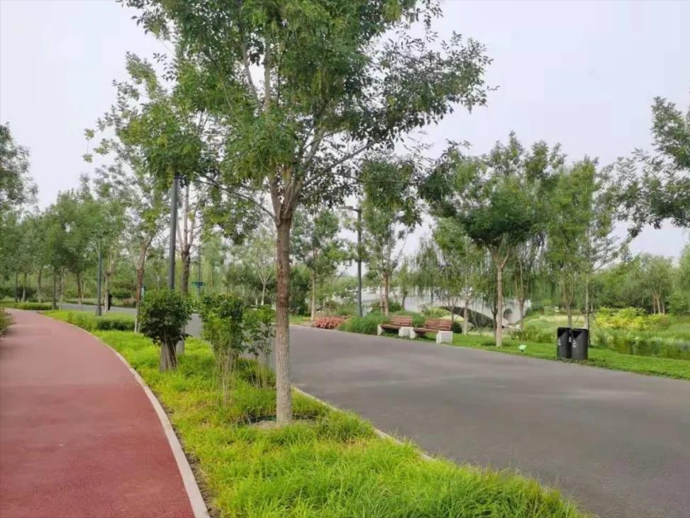 北京跑步公园排行榜,北京适合跑半马的公园