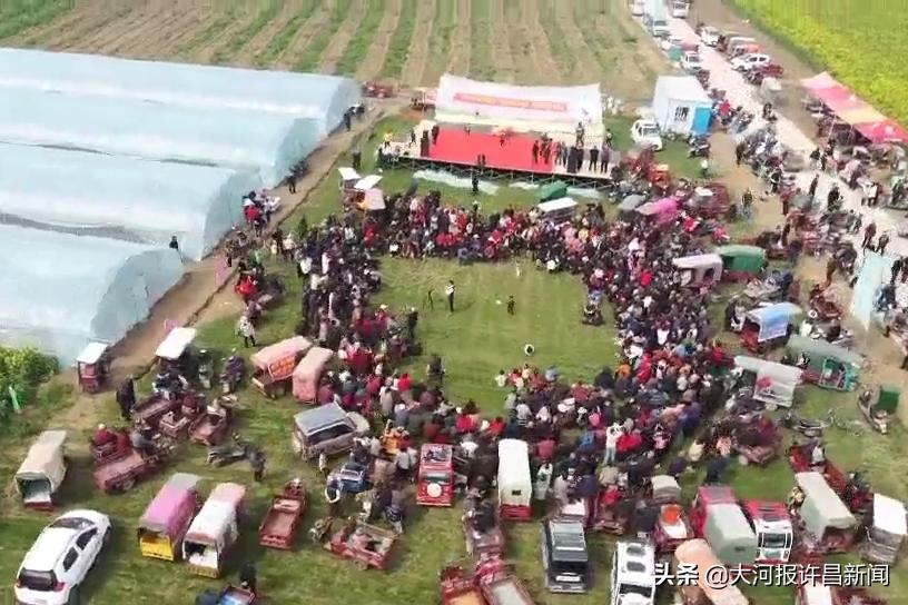 农村小伙承包80亩农田创业5年,90后小伙扎根农村办农场