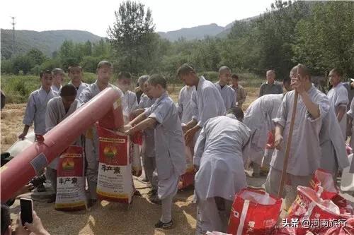 少林寺该何去何从,少林寺为什么能走出国门