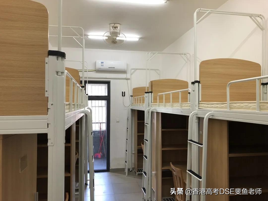 鲸帆dse国际,鲸帆dse国际学校创作人