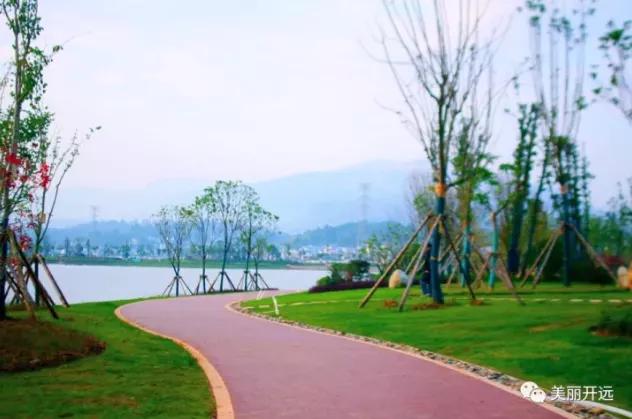 开远凤凰生态公园,开远市凤凰生态公园面积多少