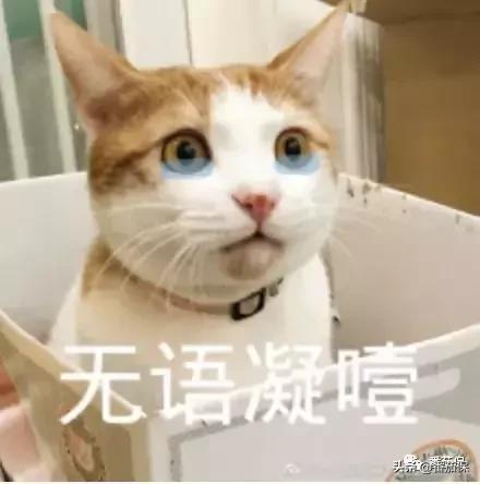 得了鼠疫有救吗,得了不治之症保险能赔多少