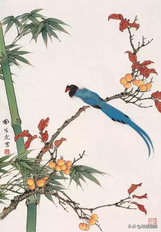 工笔大师田世光,工笔画大师田世光画孔雀好美