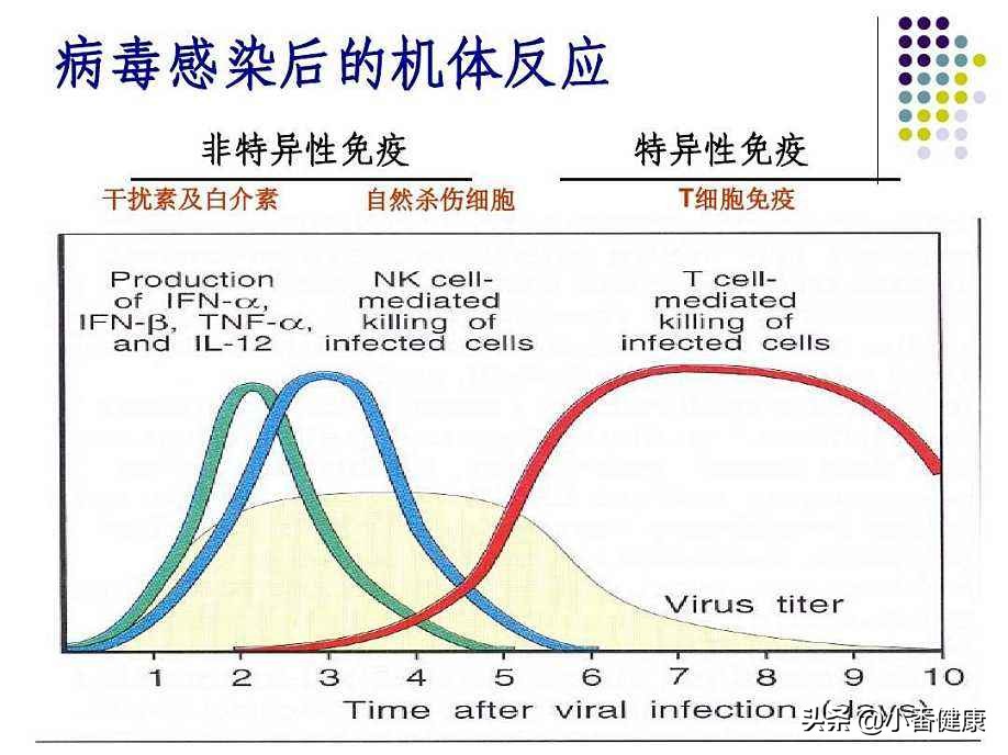 乙肝治疗性疫苗进入二期，刺激特异性T细胞应答，降低表面抗原