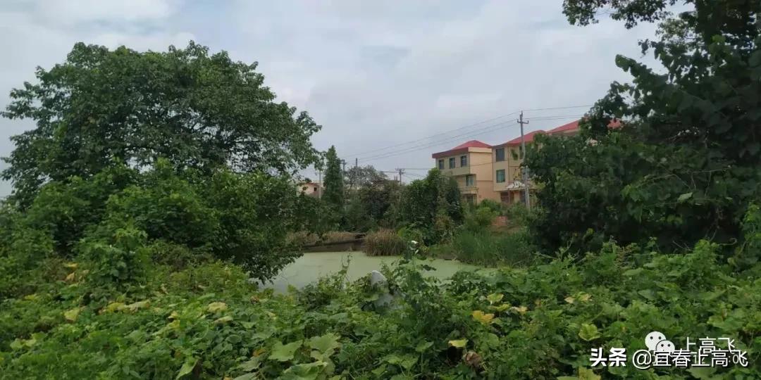 上高县江氏宗祠,江西上高县磻村宗祠