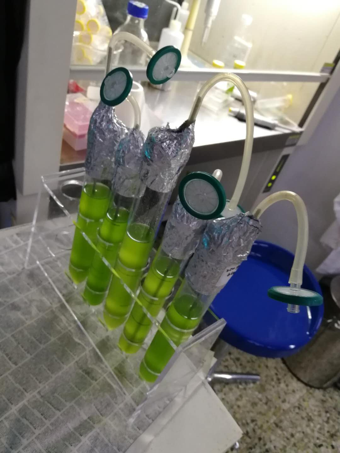 秸秆如何制成生物质燃料,玉米秸秆制作生物燃料