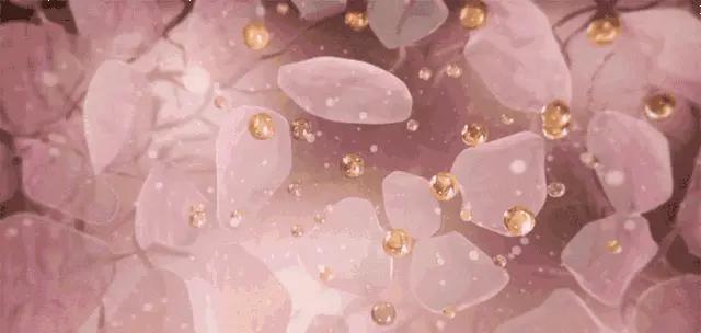 爆款频出的雅顿，原来身体乳也这么好用，抹完皮肤嫩滑自带体香