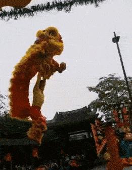 吃榴莲后牙痛怎么办,吃榴莲能治牙痛吗