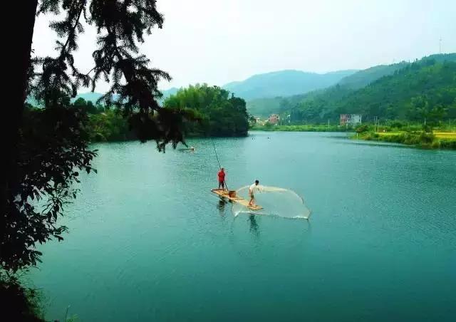 江西省有个莲花县,莲花县是因莲花而出名吗