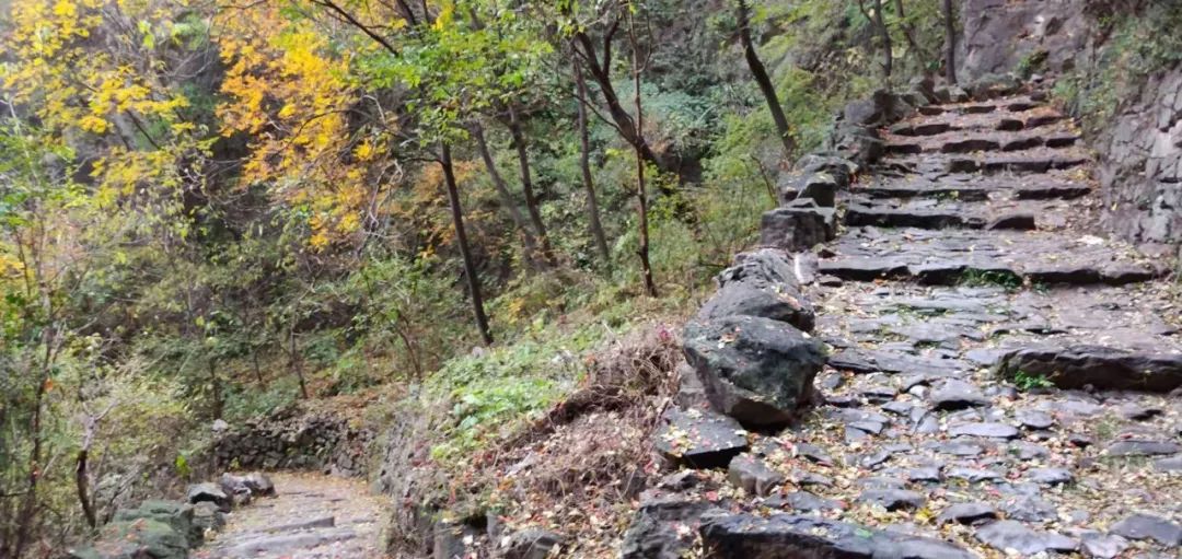 秋香四溢的白陉古道，诗意正浓